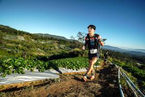 BIB: 
                            <button type="button" onclick="openModal(19118459)" class="btn btn-primary btn-sm float-right btn-popup" data-toggle="modal" data-target=".modal-high-quality">
                        <i class="fas fa-shopping-cart"></i> Add to Cart
                    </button>
                                            <button type="button" onclick="isThisMe(19118459, true)" class="btn btn-success btn-sm float-right btn-popup btn-isme hidden" data-toggle="tooltip" data-placement="bottom" title="นี่คือรูปของคุณใช่ไหม คลิกที่นี่เพื่อเอาเข้าอัลบั้ม">
                        <i class="fas fa-plus"></i> Add to album
                    </button>
                    <button type="button" onclick="isThisMe(19118459, false)" class="btn btn-warning btn-sm float-right btn-popup btn-isnotme hidden">
                        <i class="fas fa-ban"></i> Remove from album
                    </button>